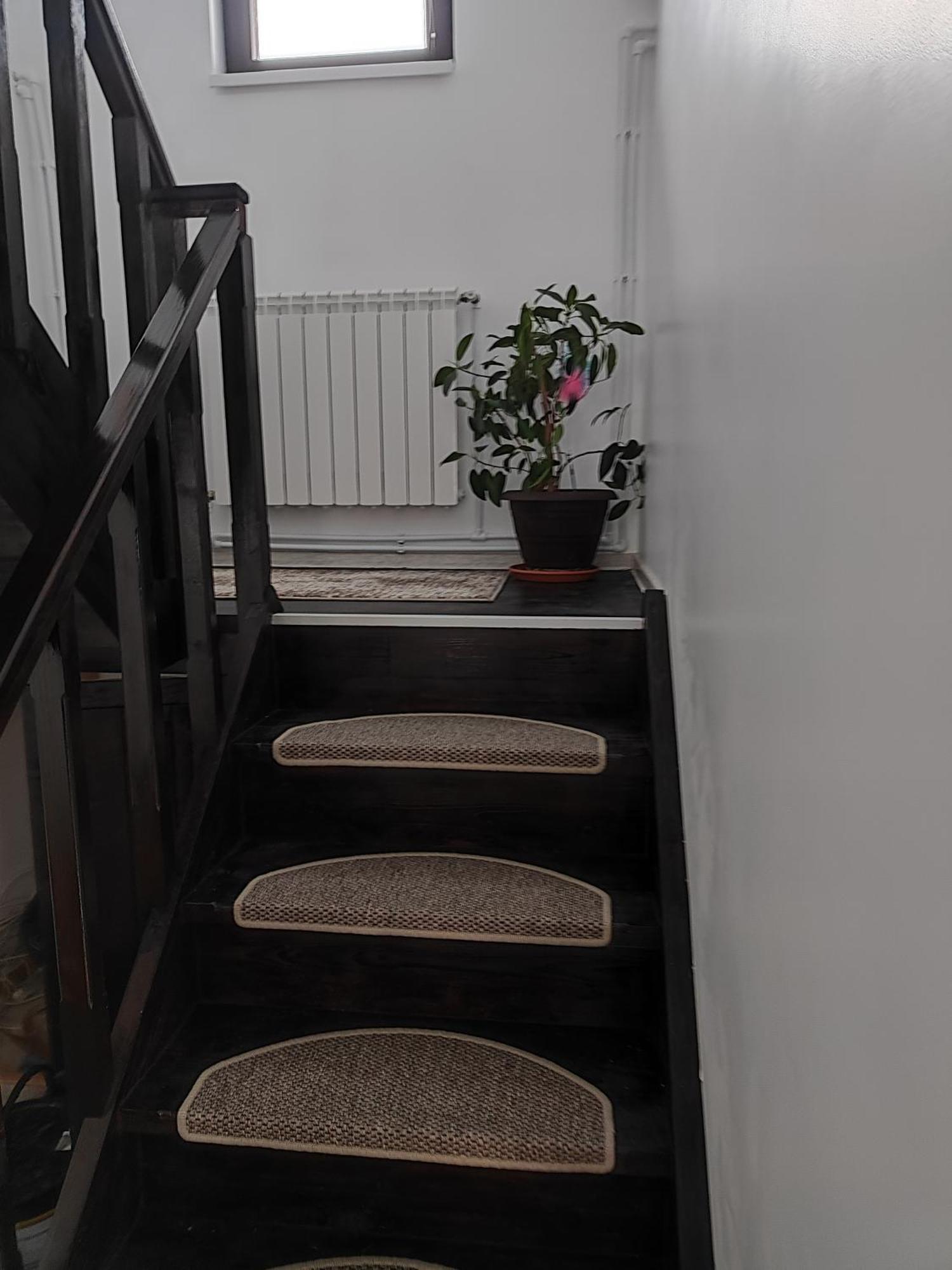 Vila Raisa Neagra Sarului Dış mekan fotoğraf